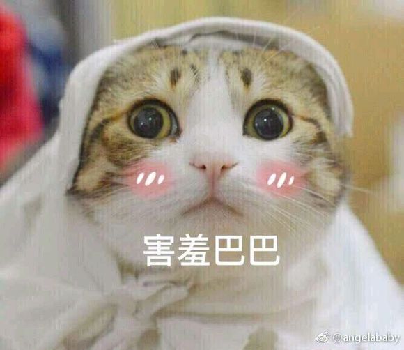 难以置信微信恶搞斗图表情包