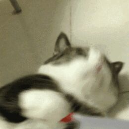 难以置信微信恶搞斗图表情包