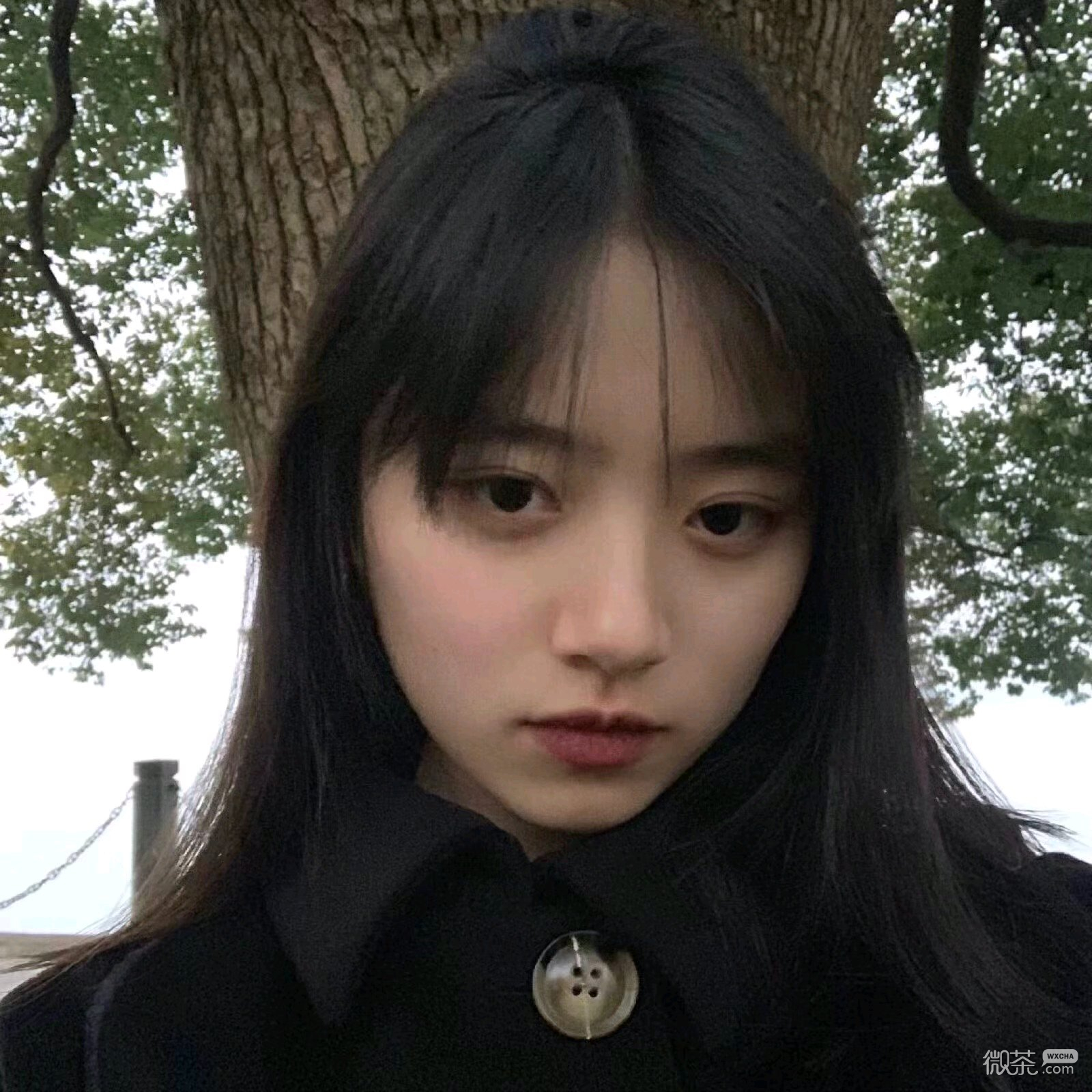 微信长发漂亮高颜值女头