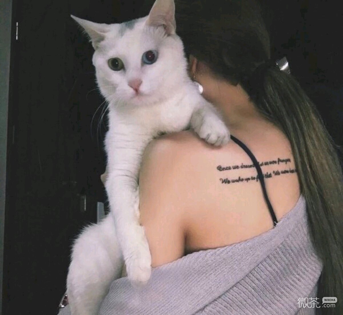 微信长发漂亮高颜值女头