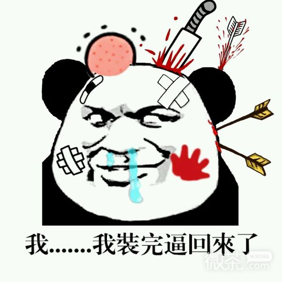 明白恶搞傻屌斗图微信表情包