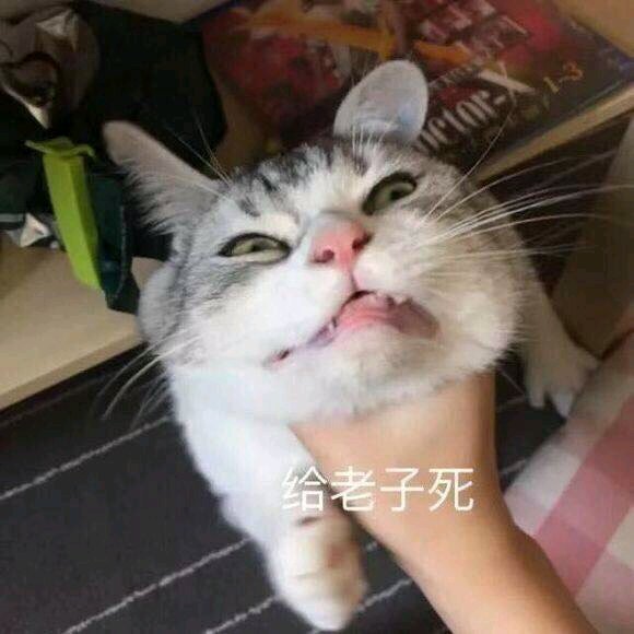 偷偷抹泪微信恶搞群聊杂图表情包