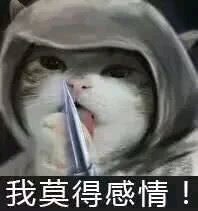 微信暴躁傻屌熊猫头斗图群聊表情包