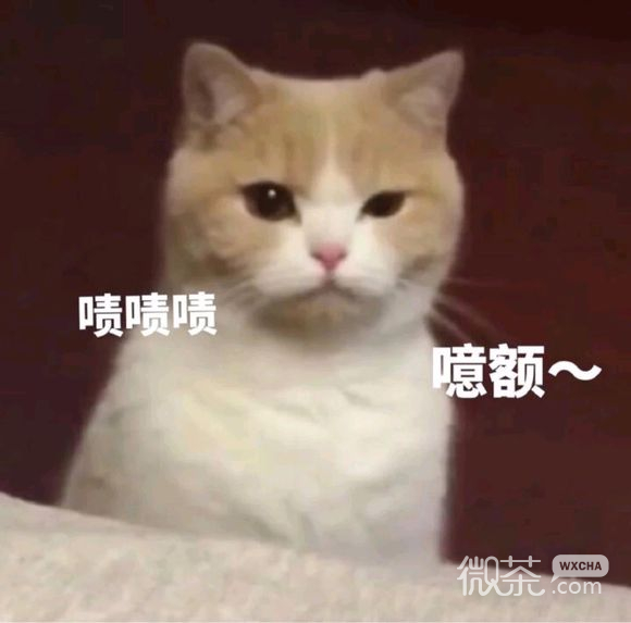 真的吗微信恶搞群聊杂图表情包