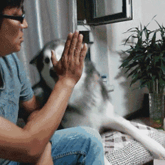 偷偷抹泪微信恶搞群聊杂图表情包