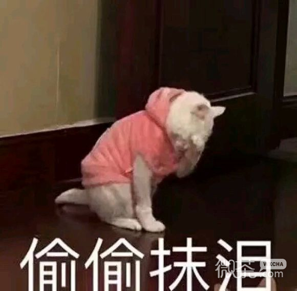 偷偷抹泪微信恶搞群聊杂图表情包