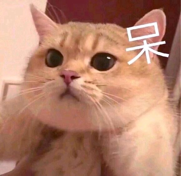 微信暴躁傻屌熊猫头斗图群聊表情包