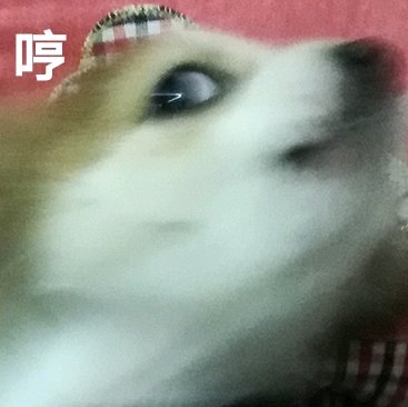 微信暴躁傻屌熊猫头斗图群聊表情包