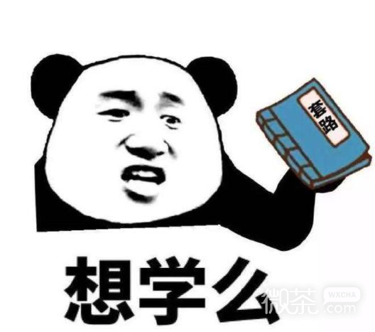 微信近期斗图恶搞表情包2019/9/2
