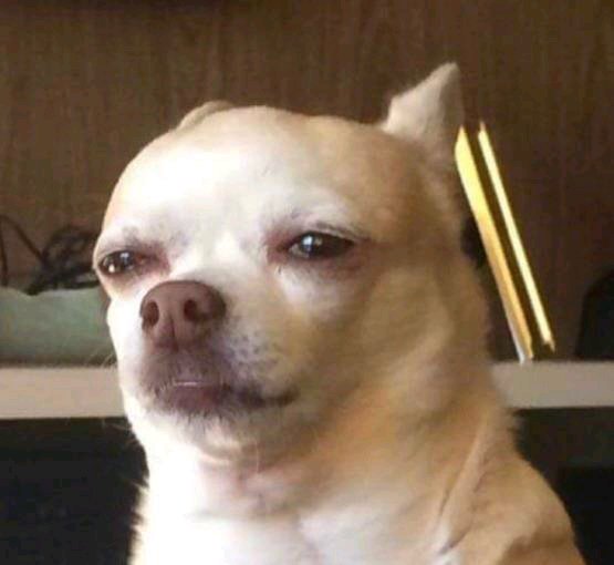 真的吗微信恶搞群聊杂图表情包