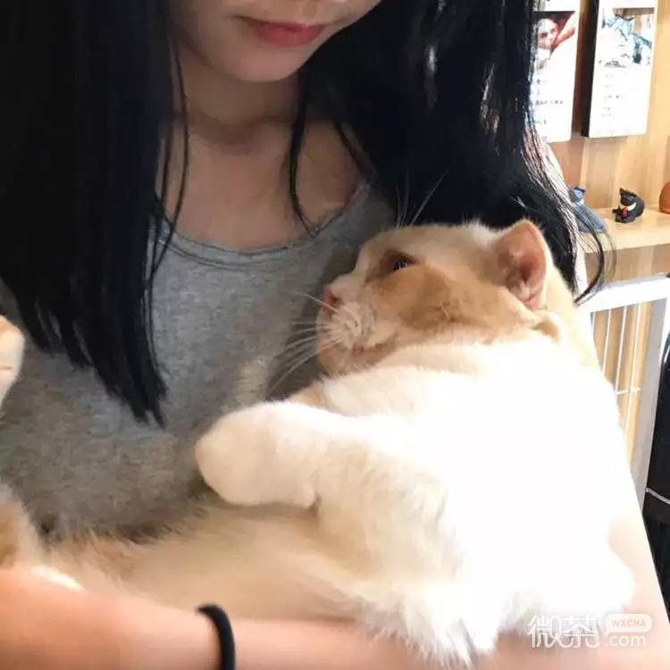 微信简洁清纯时尚长发女头