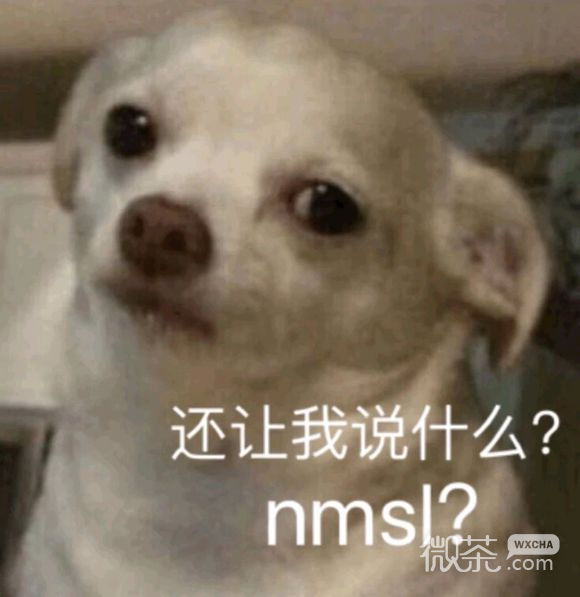 微信近期斗图恶搞表情包2019/9/2