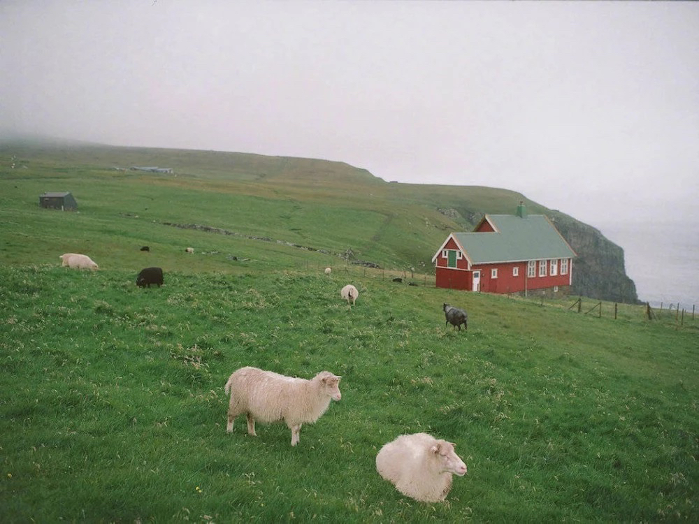 微信文艺气质小清新朋友圈配图