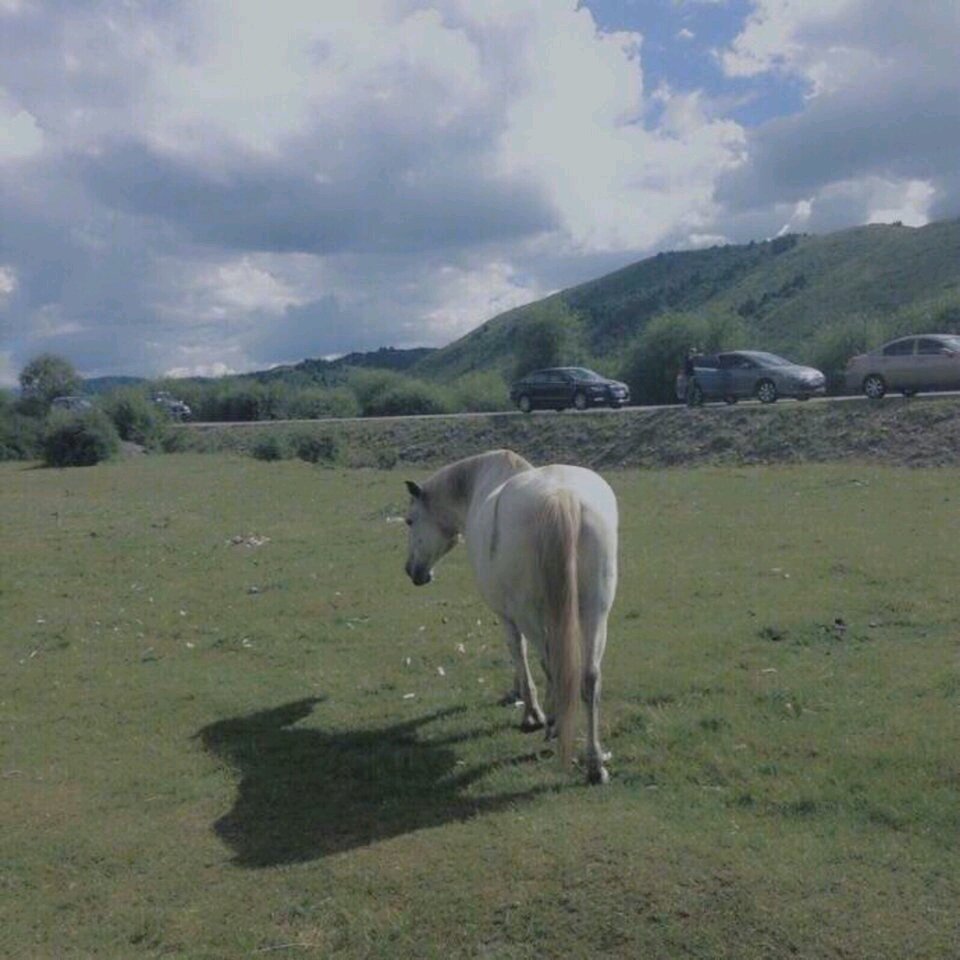 微信文艺气质小清新朋友圈配图