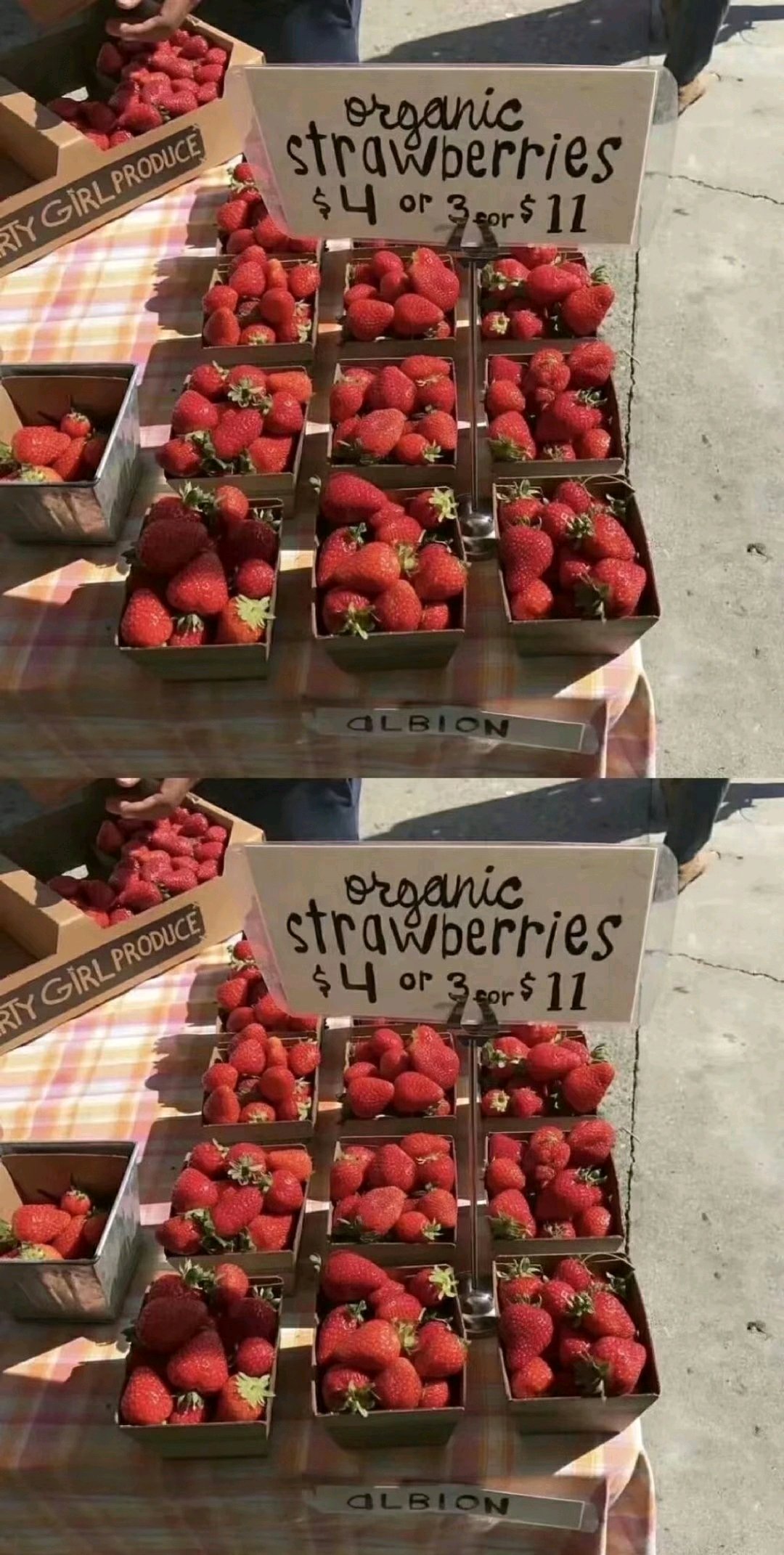 清新风景手机壁纸