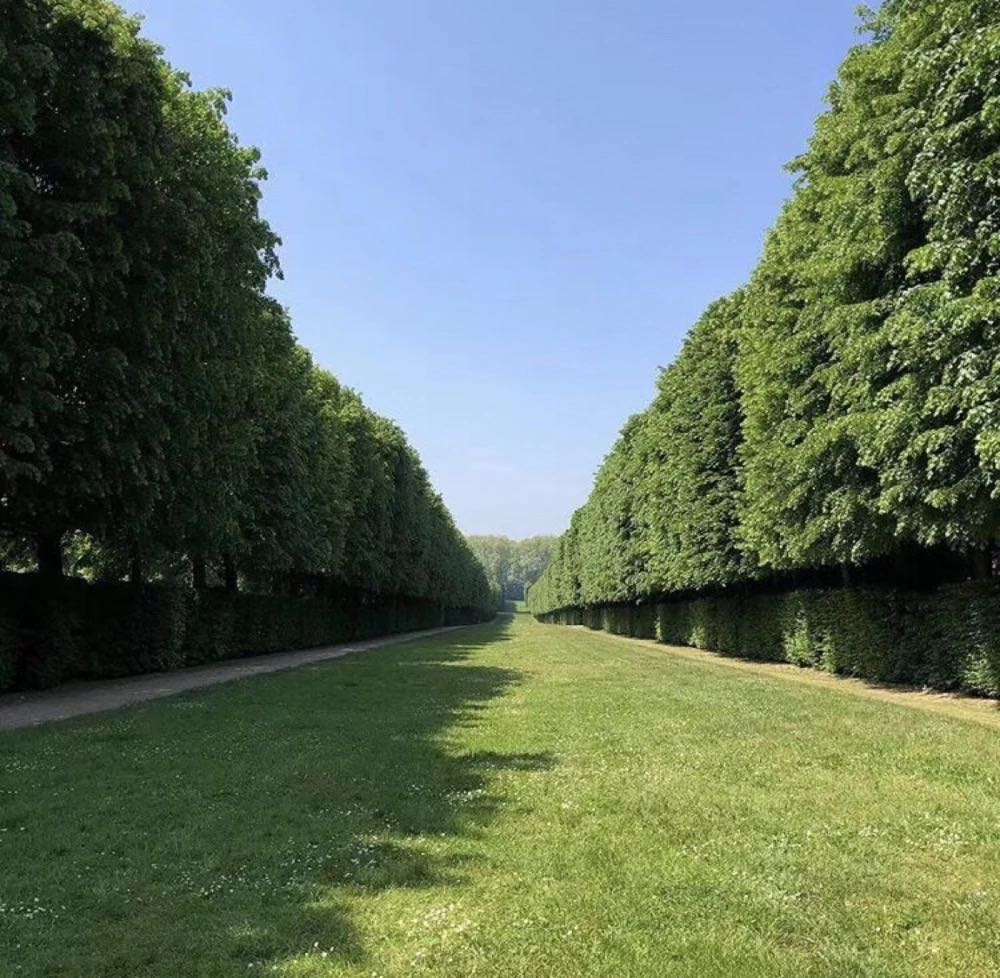 微信文艺气质小清新朋友圈配图