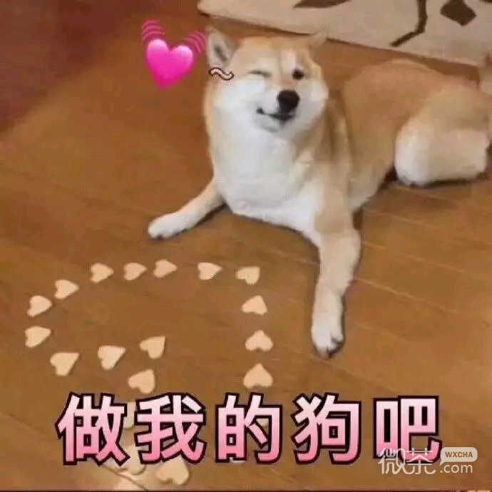 关灯睡觉微信恶搞傻屌表情包