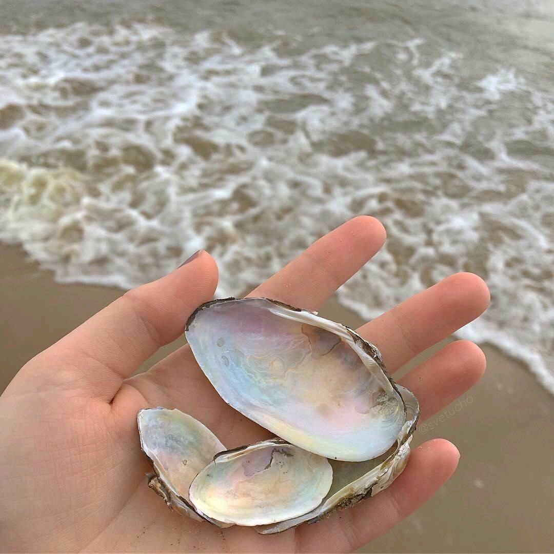 微信文艺气质小清新朋友圈配图