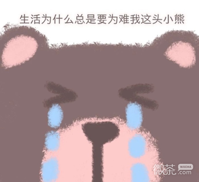 可爱萌萌哒的小熊熊系列微信表情包合集下载
