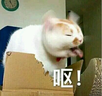 色诱恶搞斗图微信表情包