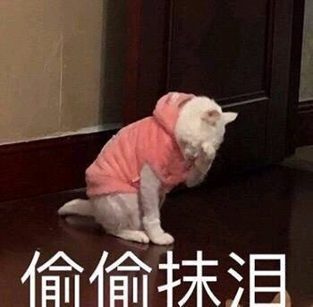 关灯睡觉微信恶搞傻屌表情包