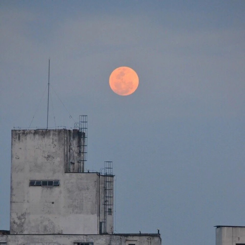 微信文艺气质小清新朋友圈配图