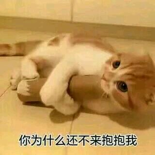 关灯睡觉微信恶搞傻屌表情包