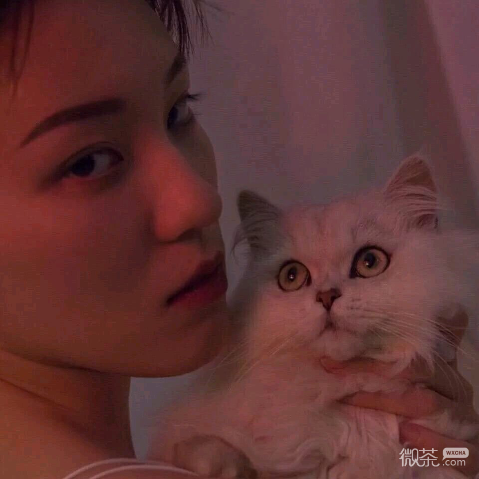 微信高颜值好看迷人女头