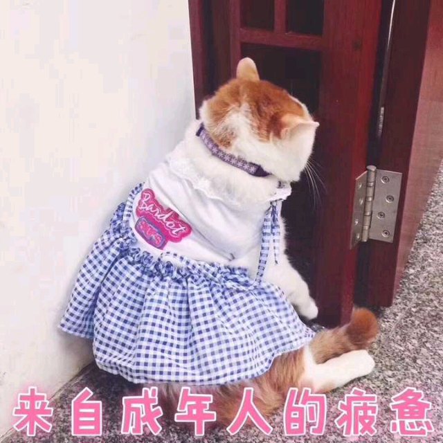 微信近期斗图恶搞表情包2019/9/4（二）