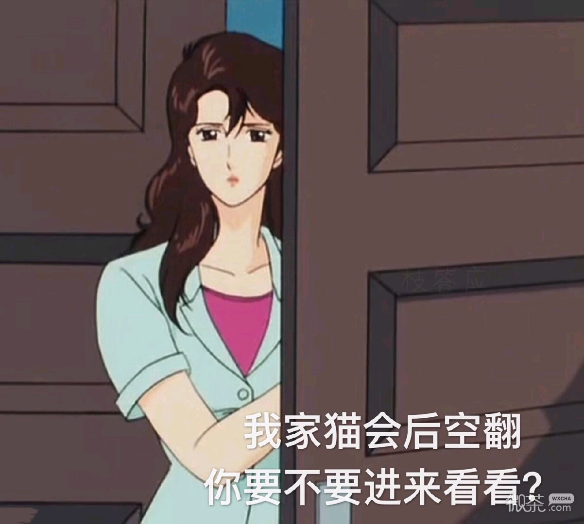 微信近期斗图恶搞表情包2019/9/4（二）