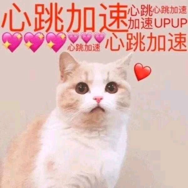 王八蛋微信恶搞傻屌斗图表情包