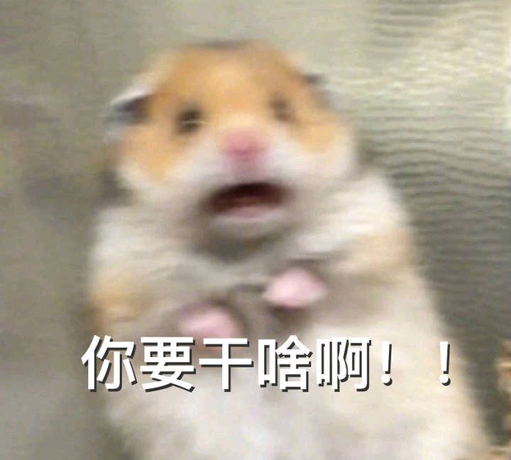 王八蛋微信恶搞傻屌斗图表情包