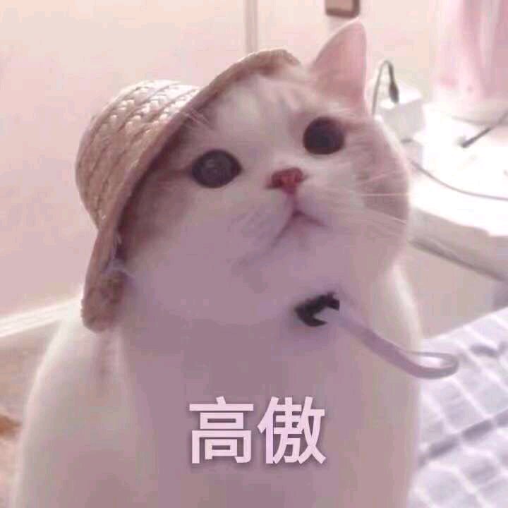 给你微信恶搞傻屌斗图群聊表情包