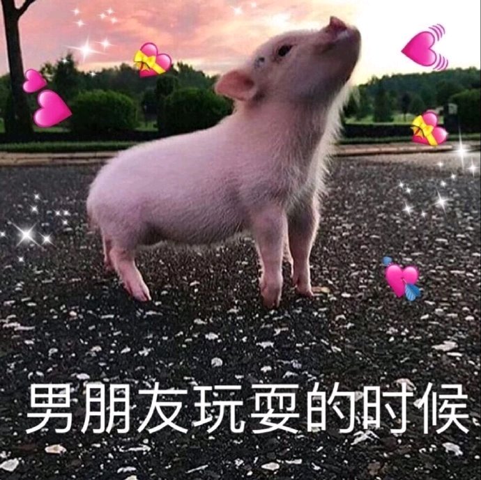 微信近期斗图恶搞表情包2019/9/4(二)