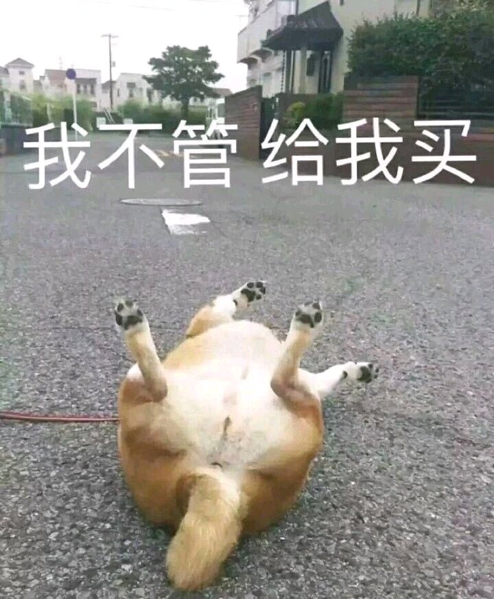 微信近期斗图恶搞表情包2019/9/4（二）