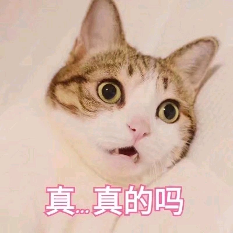 微信近期斗图恶搞表情包2019/9/4（二）