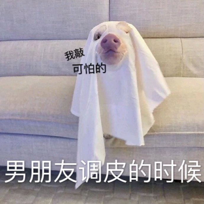 微信近期斗图恶搞表情包2019/9/4（二）