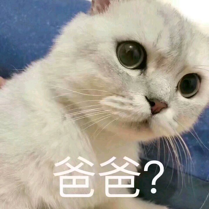 微信近期斗图恶搞表情包2019/9/4（二）