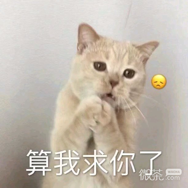 落泪微信恶搞傻屌斗图表情包