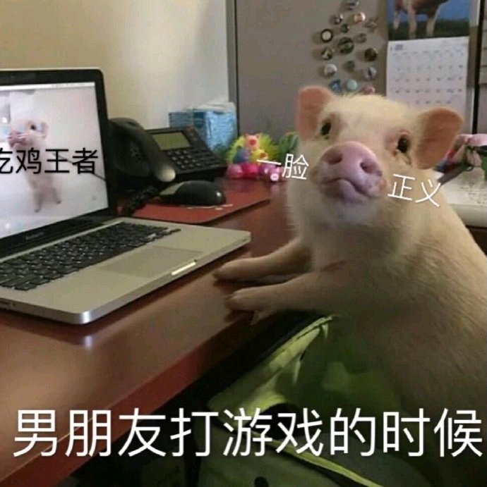 微信近期斗图恶搞表情包2019/9/4（二）