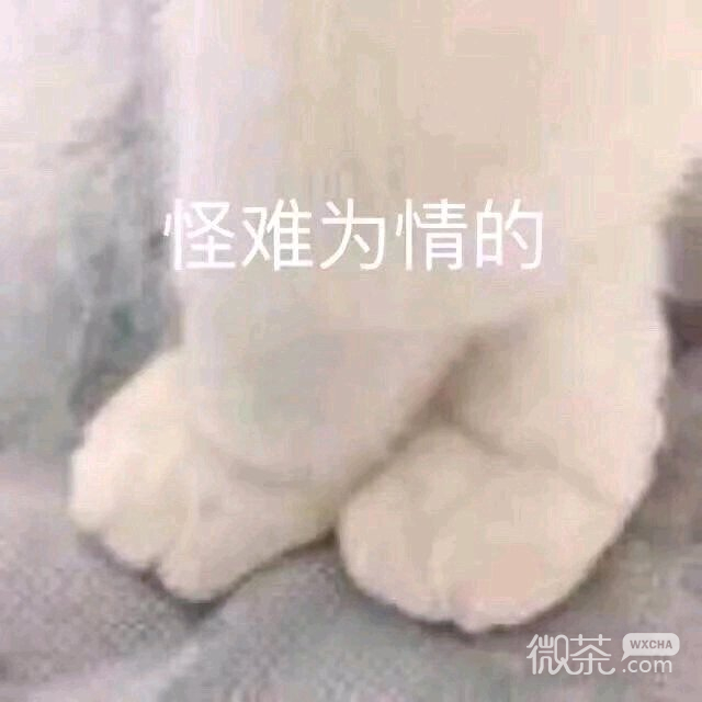 微信近期斗图恶搞表情包2019/9/4（二）