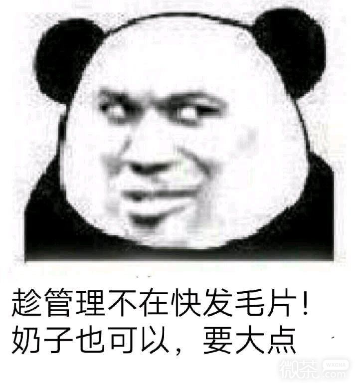 令人心寒微信恶搞傻屌斗图表情包