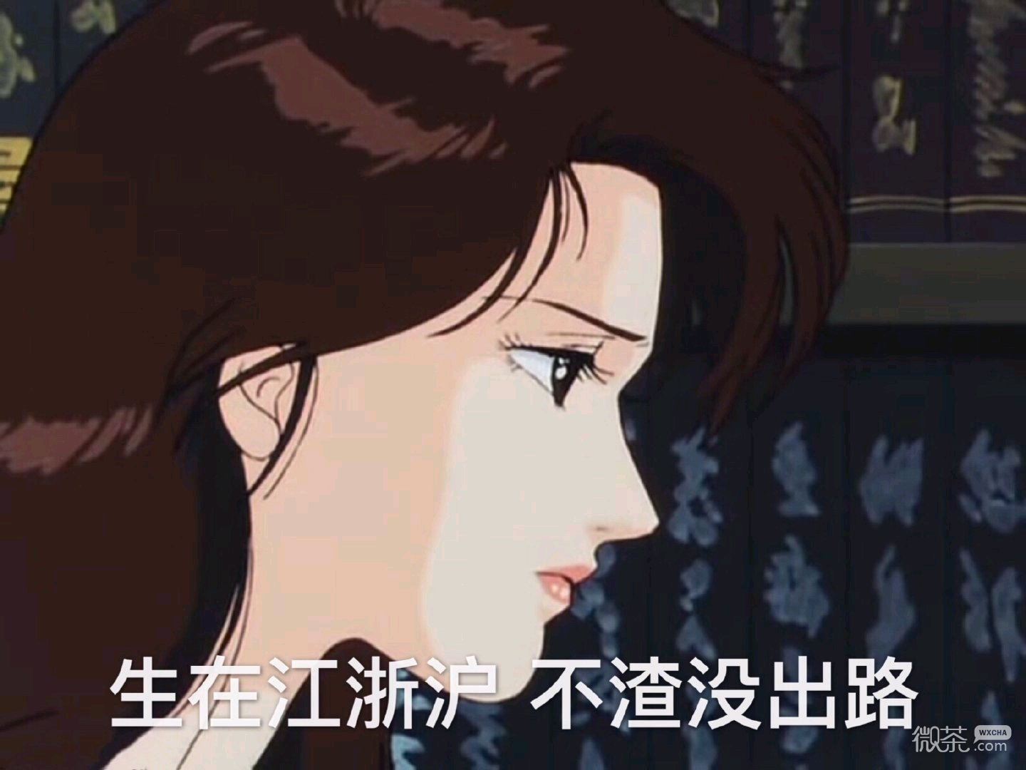 微信近期斗图恶搞表情包2019/9/4（二）
