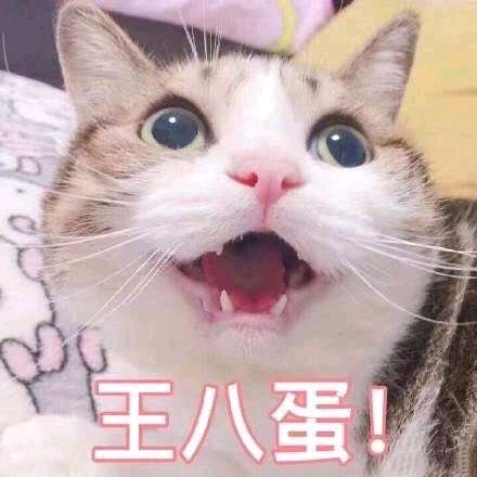 王八蛋微信恶搞傻屌斗图表情包