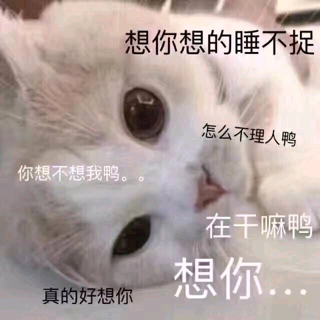 微信近期斗图恶搞表情包2019/9/4（二）