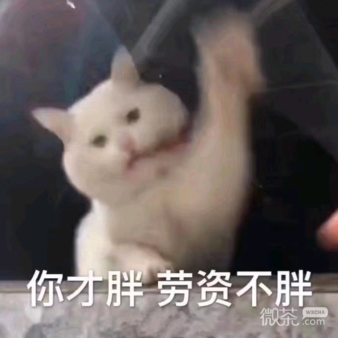 微信近期斗图恶搞表情包2019/9/4（二）