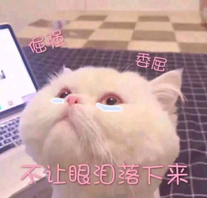 微信近期斗图恶搞表情包2019/9/4（二）