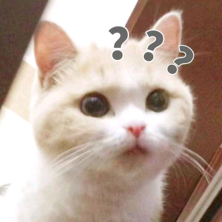 王八蛋微信恶搞傻屌斗图表情包