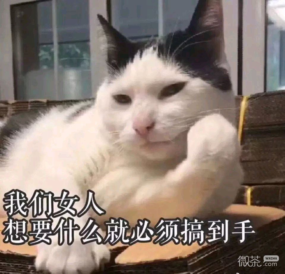 微信近期斗图恶搞表情包2019/9/4（二）