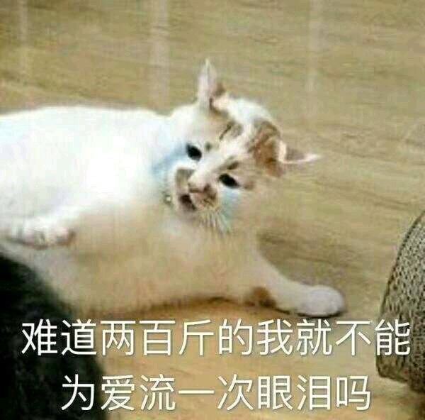 王八蛋微信恶搞傻屌斗图表情包